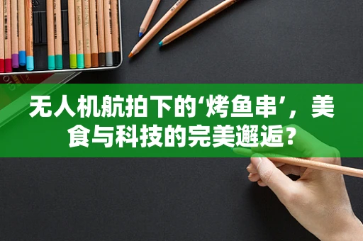 无人机航拍下的‘烤鱼串’，美食与科技的完美邂逅？