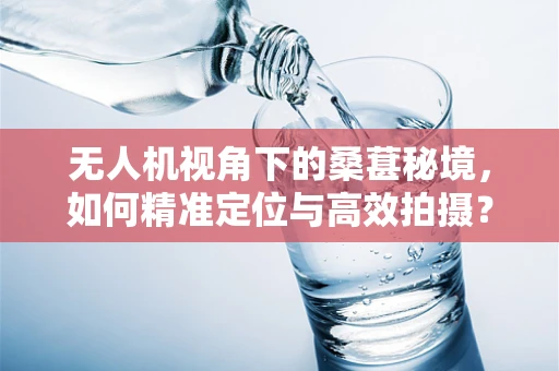 无人机视角下的桑葚秘境，如何精准定位与高效拍摄？