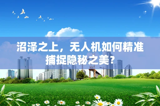 沼泽之上，无人机如何精准捕捉隐秘之美？
