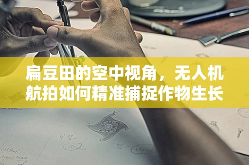 扁豆田的空中视角，无人机航拍如何精准捕捉作物生长细节？