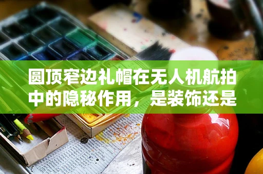 圆顶窄边礼帽在无人机航拍中的隐秘作用，是装饰还是功能？