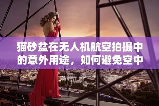 猫砂盆在无人机航空拍摄中的意外用途，如何避免空中障碍？