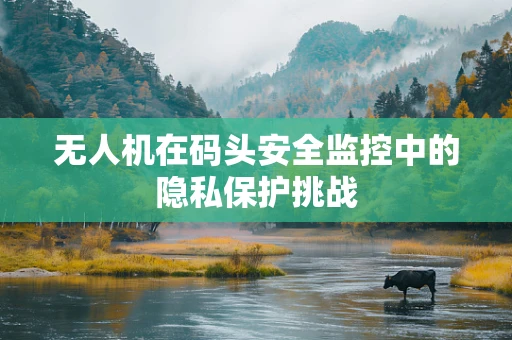 无人机在码头安全监控中的隐私保护挑战