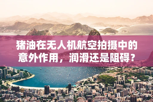 猪油在无人机航空拍摄中的意外作用，润滑还是阻碍？