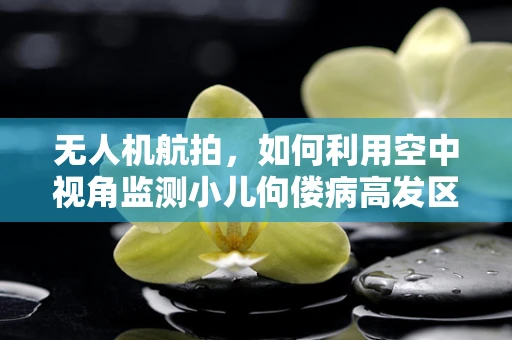 无人机航拍，如何利用空中视角监测小儿佝偻病高发区的环境因素？