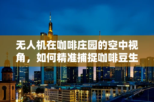 无人机在咖啡庄园的空中视角，如何精准捕捉咖啡豆生长的每一个细节？