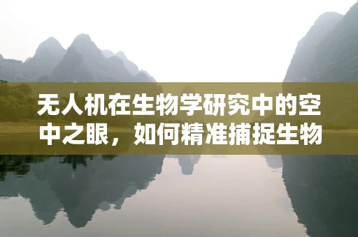无人机在生物学研究中的空中之眼，如何精准捕捉生物多样性？