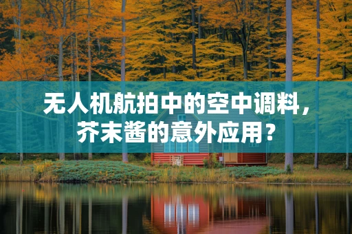 无人机航拍中的空中调料，芥末酱的意外应用？