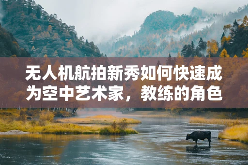 无人机航拍新秀如何快速成为空中艺术家，教练的角色与挑战？