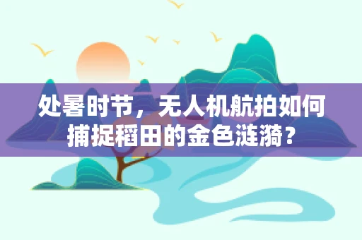 处暑时节，无人机航拍如何捕捉稻田的金色涟漪？