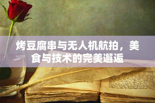 烤豆腐串与无人机航拍，美食与技术的完美邂逅