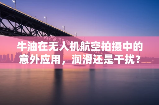 牛油在无人机航空拍摄中的意外应用，润滑还是干扰？
