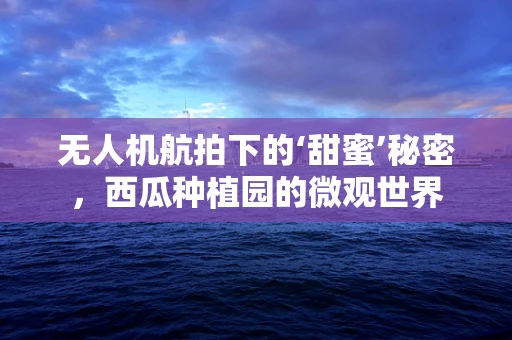 无人机航拍下的‘甜蜜’秘密，西瓜种植园的微观世界