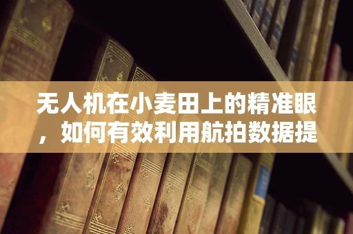 无人机在小麦田上的精准眼，如何有效利用航拍数据提升小麦产量？
