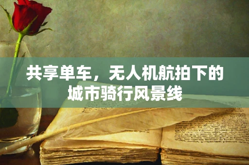 共享单车，无人机航拍下的城市骑行风景线