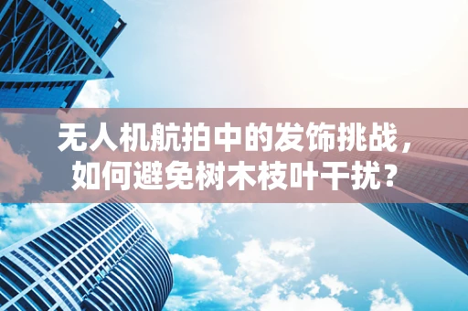 无人机航拍中的发饰挑战，如何避免树木枝叶干扰？