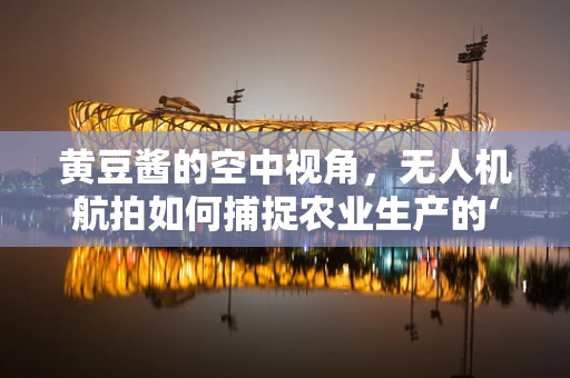 黄豆酱的空中视角，无人机航拍如何捕捉农业生产的‘秘密调料’？