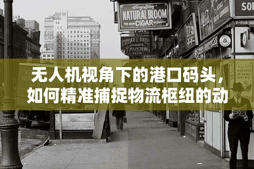 无人机视角下的港口码头，如何精准捕捉物流枢纽的动态？