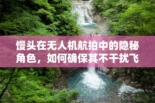 馒头在无人机航拍中的隐秘角色，如何确保其不干扰飞行安全？