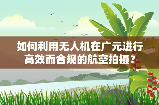 如何利用无人机在广元进行高效而合规的航空拍摄？
