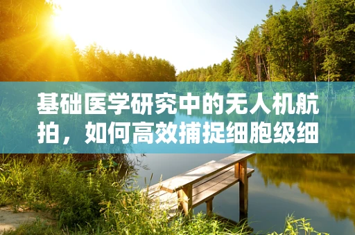 基础医学研究中的无人机航拍，如何高效捕捉细胞级细节？