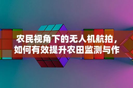 农民视角下的无人机航拍，如何有效提升农田监测与作物评估？