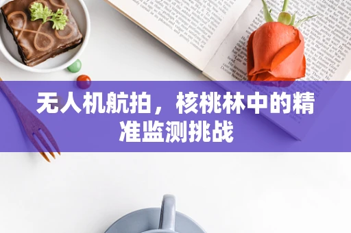 无人机航拍，核桃林中的精准监测挑战