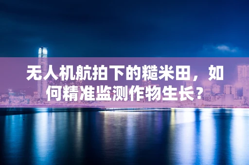 无人机航拍下的糙米田，如何精准监测作物生长？