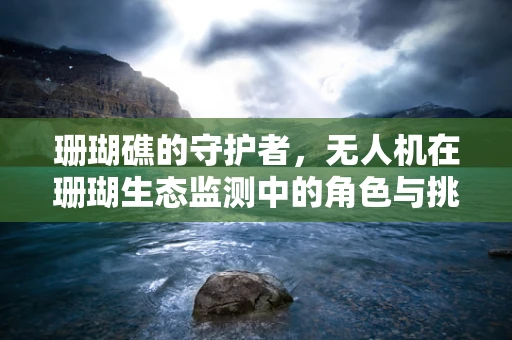珊瑚礁的守护者，无人机在珊瑚生态监测中的角色与挑战