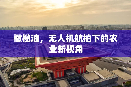 橄榄油，无人机航拍下的农业新视角