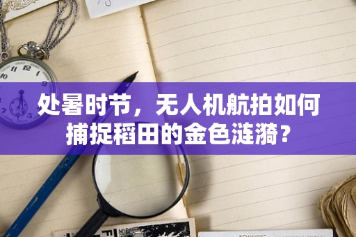 处暑时节，无人机航拍如何捕捉稻田的金色涟漪？