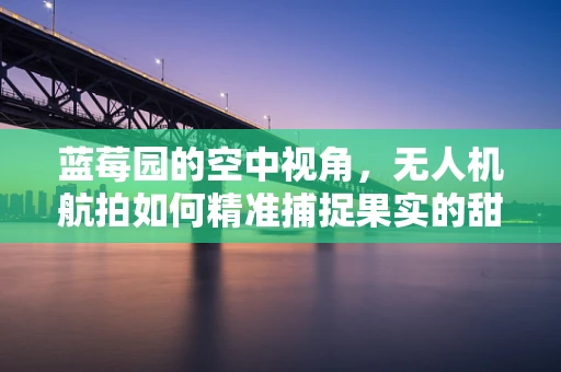蓝莓园的空中视角，无人机航拍如何精准捕捉果实的甜蜜瞬间？