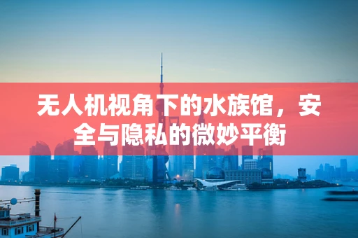无人机视角下的水族馆，安全与隐私的微妙平衡