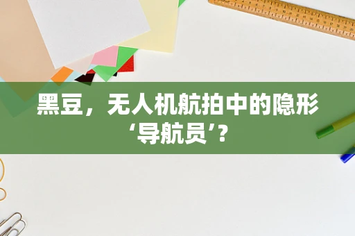 黑豆，无人机航拍中的隐形‘导航员’？