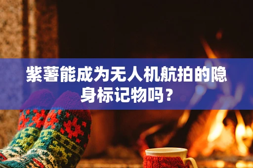 紫薯能成为无人机航拍的隐身标记物吗？