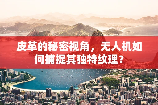 皮革的秘密视角，无人机如何捕捉其独特纹理？