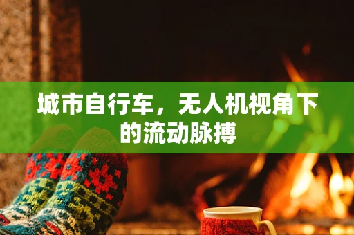 城市自行车，无人机视角下的流动脉搏