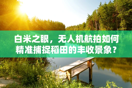 白米之眼，无人机航拍如何精准捕捉稻田的丰收景象？