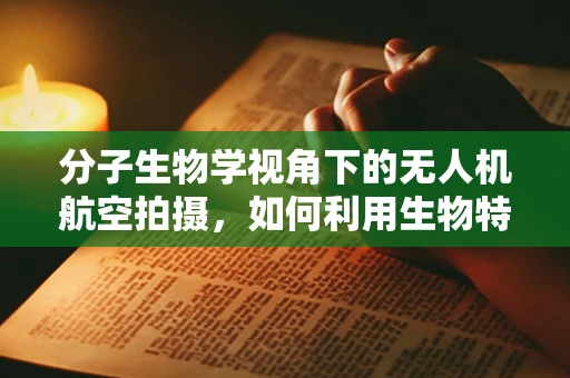 分子生物学视角下的无人机航空拍摄，如何利用生物特征优化飞行路径？