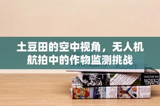 土豆田的空中视角，无人机航拍中的作物监测挑战
