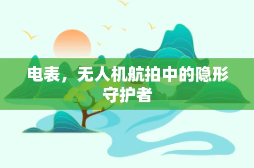 电表，无人机航拍中的隐形守护者