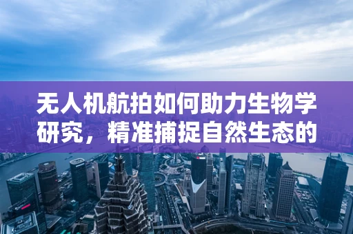 无人机航拍如何助力生物学研究，精准捕捉自然生态的细微之处？
