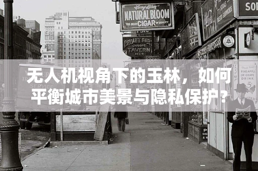 无人机视角下的玉林，如何平衡城市美景与隐私保护？
