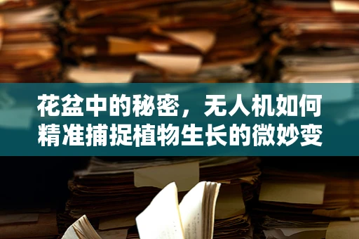 花盆中的秘密，无人机如何精准捕捉植物生长的微妙变化？