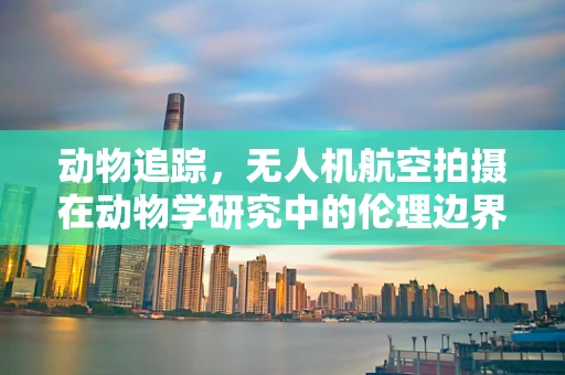 动物追踪，无人机航空拍摄在动物学研究中的伦理边界何在？