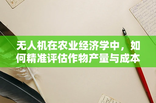 无人机在农业经济学中，如何精准评估作物产量与成本效益？