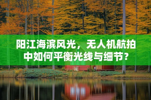 阳江海滨风光，无人机航拍中如何平衡光线与细节？