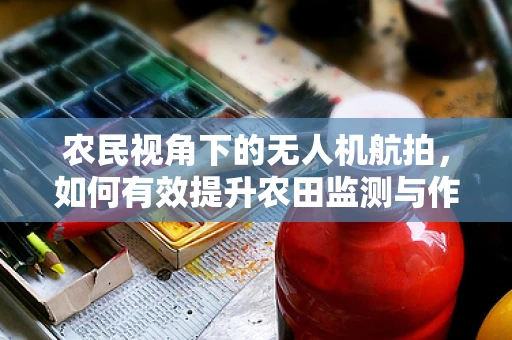 农民视角下的无人机航拍，如何有效提升农田监测与作物管理？