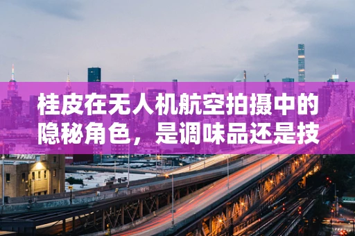 桂皮在无人机航空拍摄中的隐秘角色，是调味品还是技术助力？