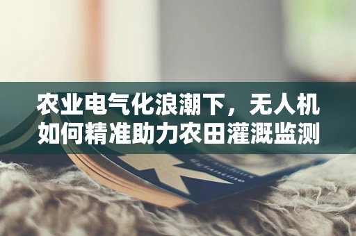 农业电气化浪潮下，无人机如何精准助力农田灌溉监测？